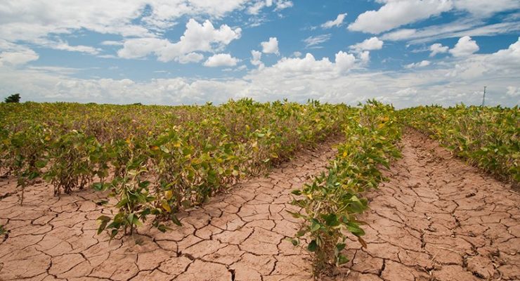 Why the Current Historic Drought in the Southwest May be the New Normal