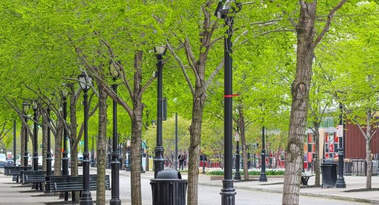 Planting more Trees could reduce Heat-Related Deaths in Cities by a Third