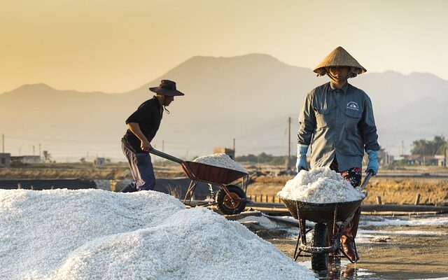 Why is 104 °F (40°C) is bearable in a Desert but Lethal in the Tropics