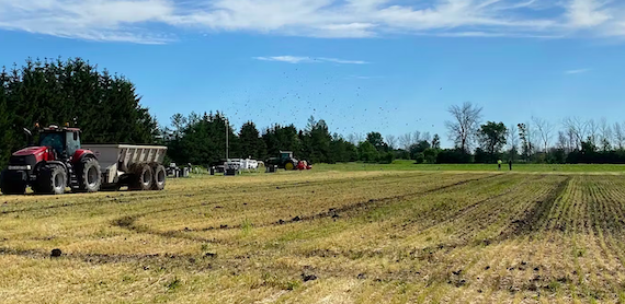 How Microplastics are making their Way into our Farmland